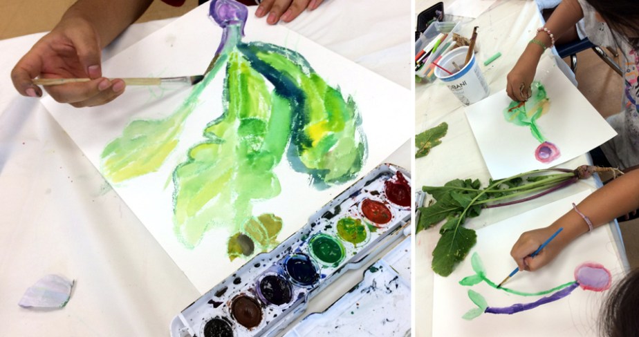 Watercolor paintings of turnips