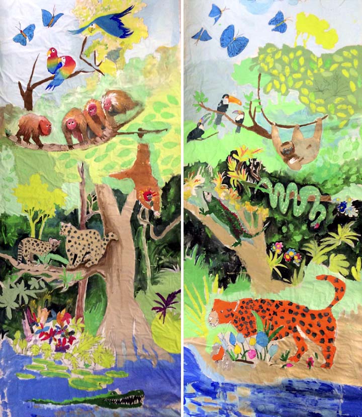 Rain Forest Backdrop