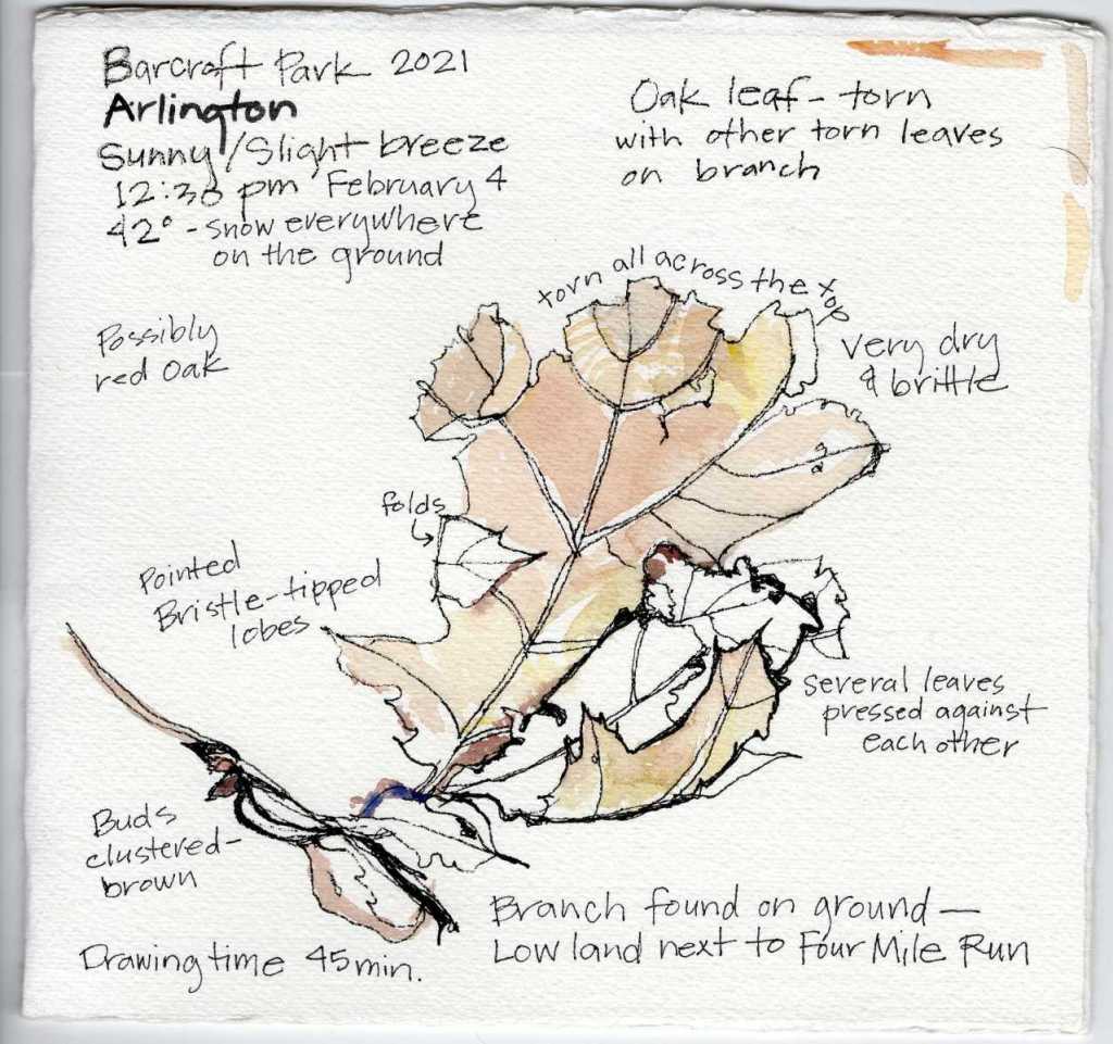 This image has an empty alt attribute; its file name is macklin_armnjournal_feb4_2021_lowres.jpg